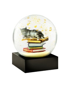 SNOWGLOBES, Cat on Books