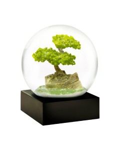 SNOWGLOBES, Bonsai