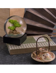 SNOWGLOBES, Bonsai 2