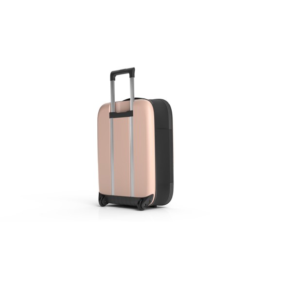 FLEX VEGA CABIN SIZE INT 21" Rose Smoke, 2 ruote