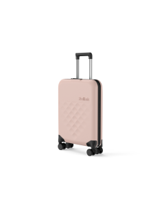 FLEX 360 SPINNER CABIN SIZE 21" Rose Smoke,4 ruote 2