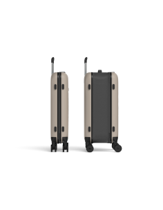 FLEX 360 SPINNER CABIN SIZE 21"" Warm Grey, 4 dopp