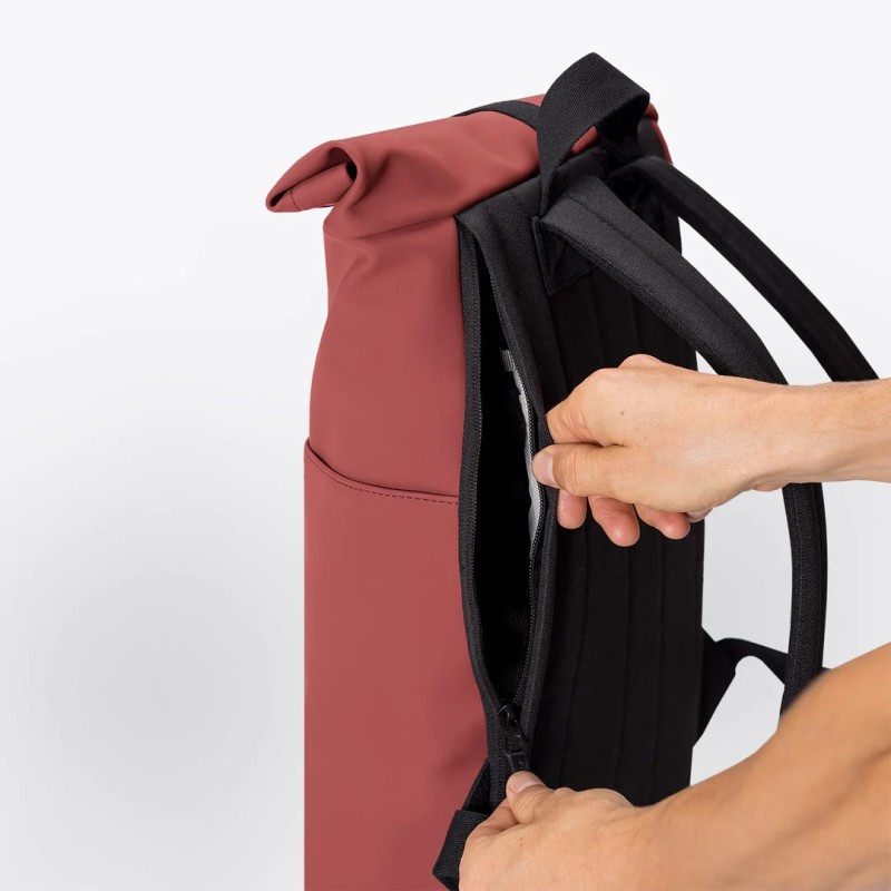 HAJO MINI LOTUS, Hibiscus