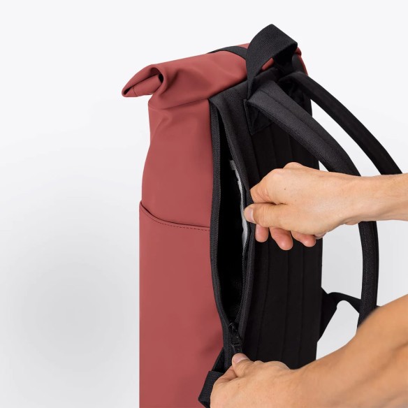 HAJO MINI LOTUS, Hibiscus