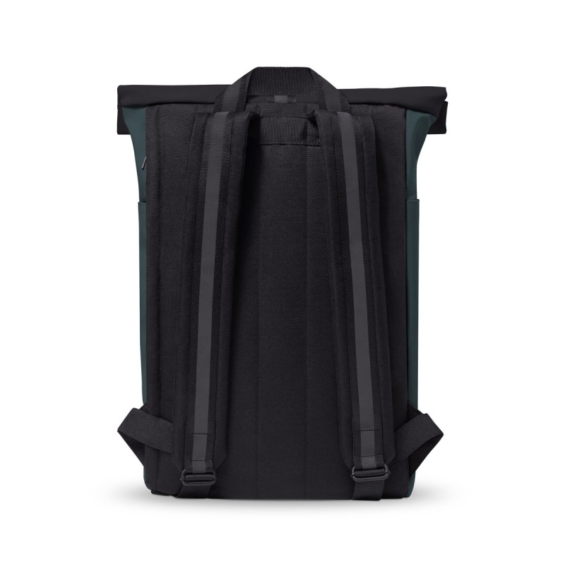 HAJO MEDIUM ALOE, Forest