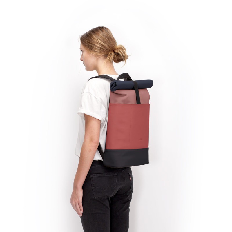 HAJO MEDIUM LOTUS, Dark Rose - Hibiscus