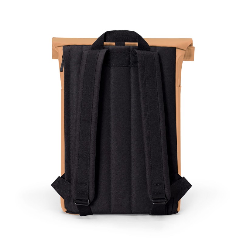 HAJO MEDIUM LOTUS, Clay