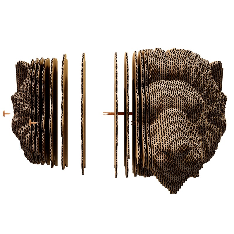 CARTONIC 3D WALL PUZZLE LION