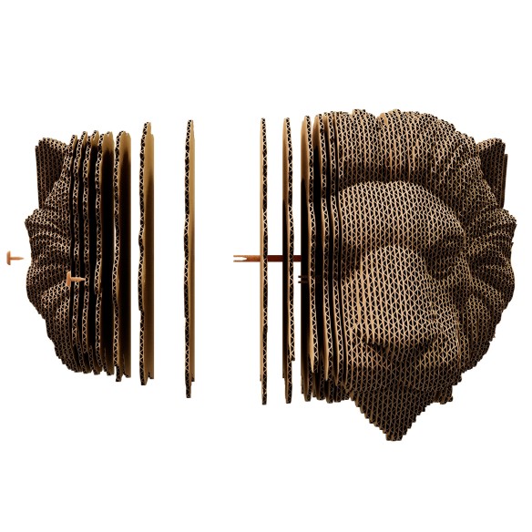 CARTONIC 3D WALL PUZZLE LION