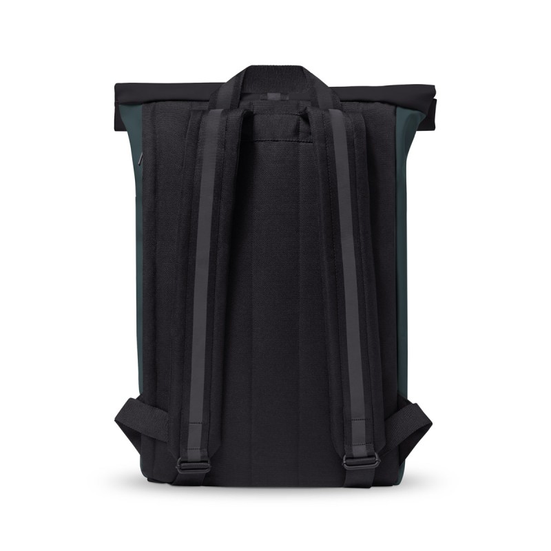 JASPER MEDIUM ALOE, Forest