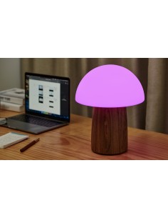 ALICE MUSHROOM LAMP, Large Natural Walnut Wood