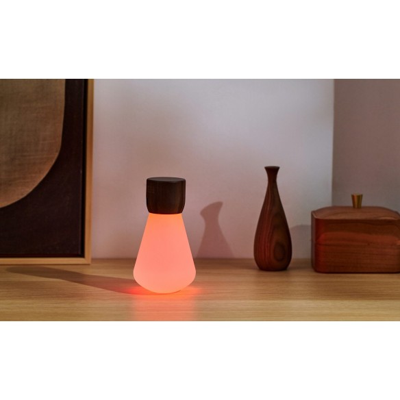 PENTAGON DESK BULB, Mini Natural Walnut Wood