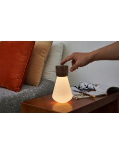 PENTAGON DESK BULB, Mini Natural Walnut Wood