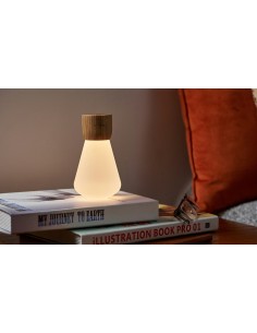 PENTAGON DESK BULB, Mini White Ash Wood 2