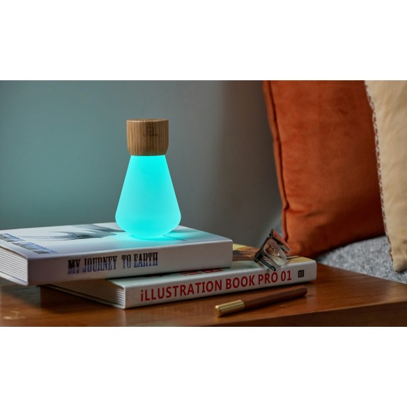 PENTAGON DESK BULB, Mini White Ash Wood