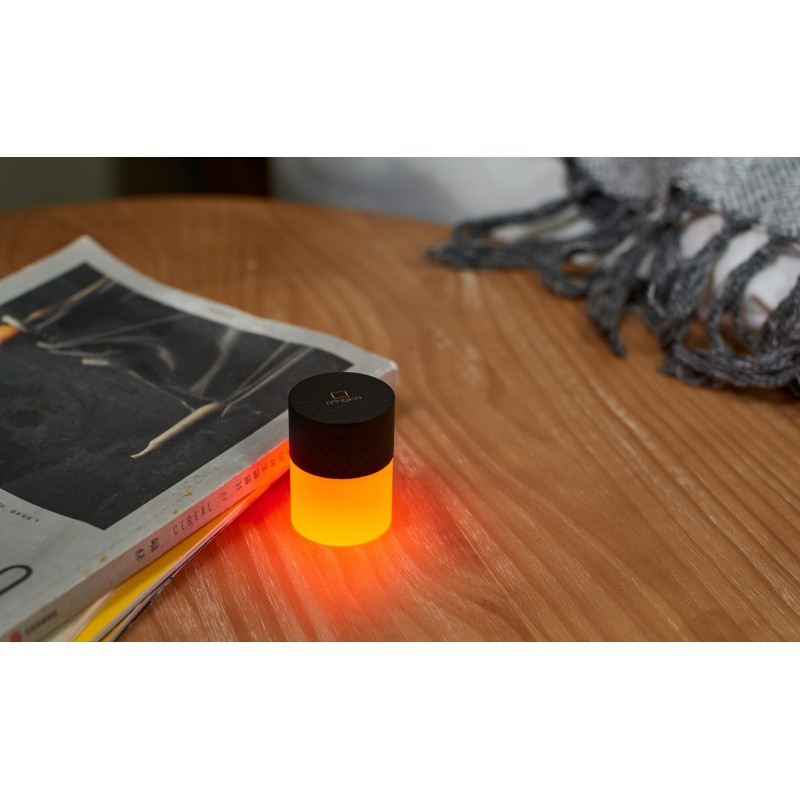 LEMELIA LIGHT, black  wood