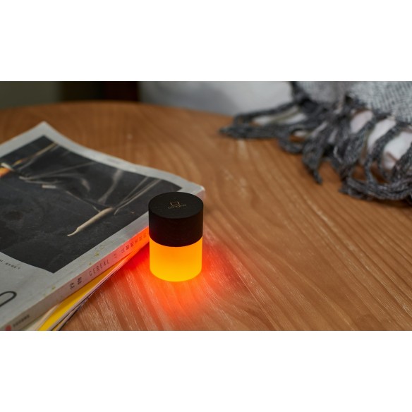 LEMELIA LIGHT, black  wood