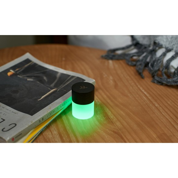 LEMELIA LIGHT, black  wood