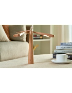 DRAGONFLIGHT BALANCE LIGHT, natural maple wood 2