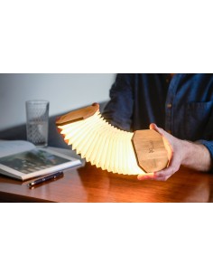 SMART ACCORDION LAMP, Maple Wood