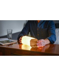 SMART ACCORDION LAMP, Maple Wood 2