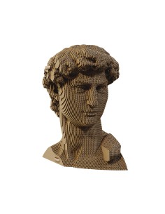 CARTONIC 3D PUZZLE DAVID