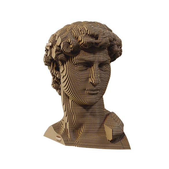 CARTONIC 3D PUZZLE DAVID