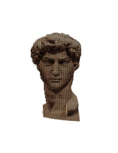 CARTONIC 3D PUZZLE DAVID 2