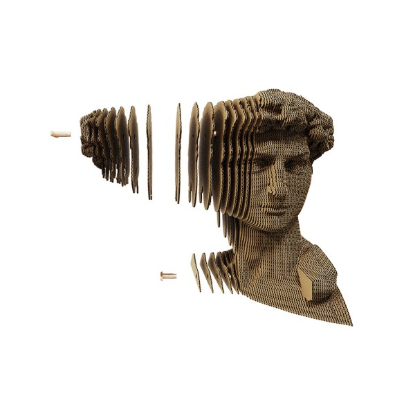 CARTONIC 3D PUZZLE DAVID