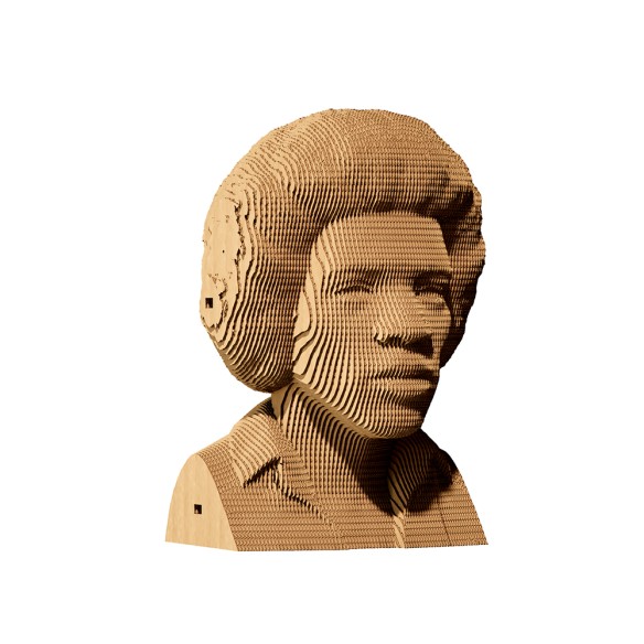 CARTONIC 3D PUZZLE Jimi H