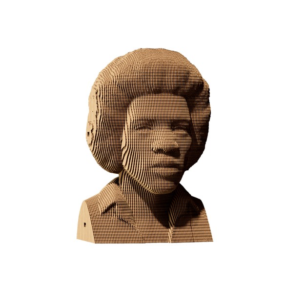 CARTONIC 3D PUZZLE Jimi H