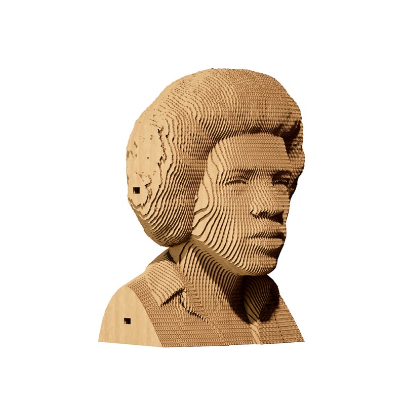 CARTONIC 3D PUZZLE Jimi H