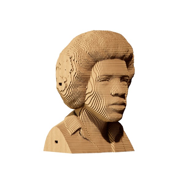 CARTONIC 3D PUZZLE Jimi H