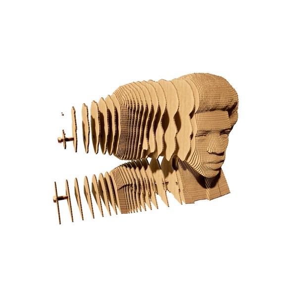 CARTONIC 3D PUZZLE Jimi H