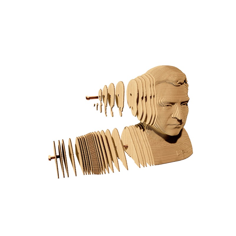 CARTONIC 3D PUZZLE VW T1