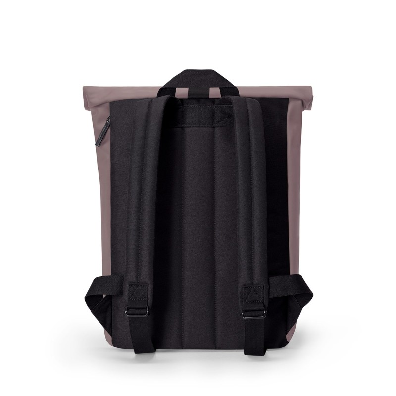 JASPER MINI LOTUS, Grape