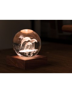 AMBER CRYSTAL LIGHT, 3D laser Jumping Dolphins