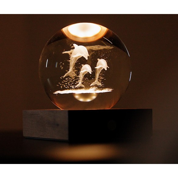 AMBER CRYSTAL LIGHT, 3D laser Jumping Dolphins