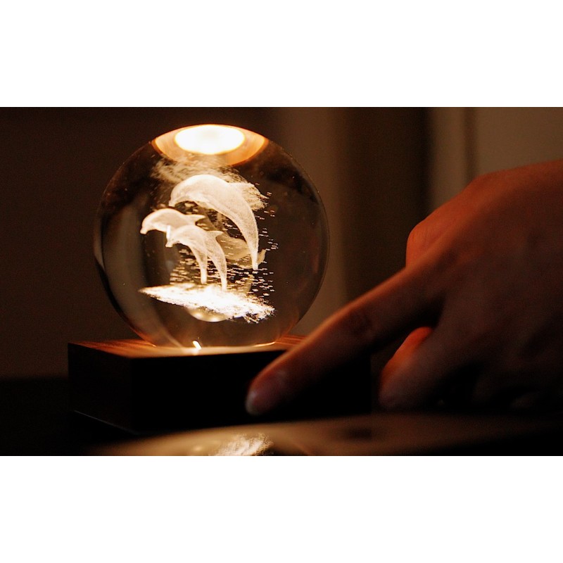 AMBER CRYSTAL LIGHT, 3D laser Jumping Dolphins