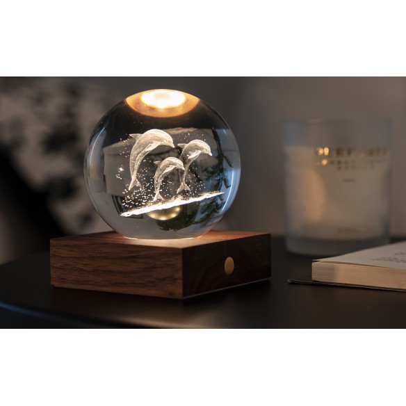 AMBER CRYSTAL LIGHT, 3D laser Jumping Dolphins