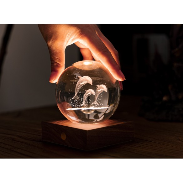 AMBER CRYSTAL LIGHT, 3D laser Jumping Dolphins