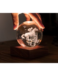 AMBER CRYSTAL LIGHT, 3D laser Horse Racing
