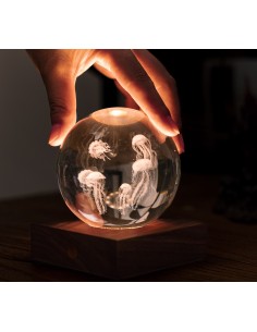 AMBER CRYSTAL LIGHT, 3D laser Jellyfish 2