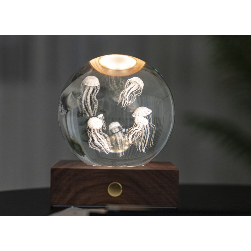 AMBER CRYSTAL LIGHT, 3D laser Jellyfish