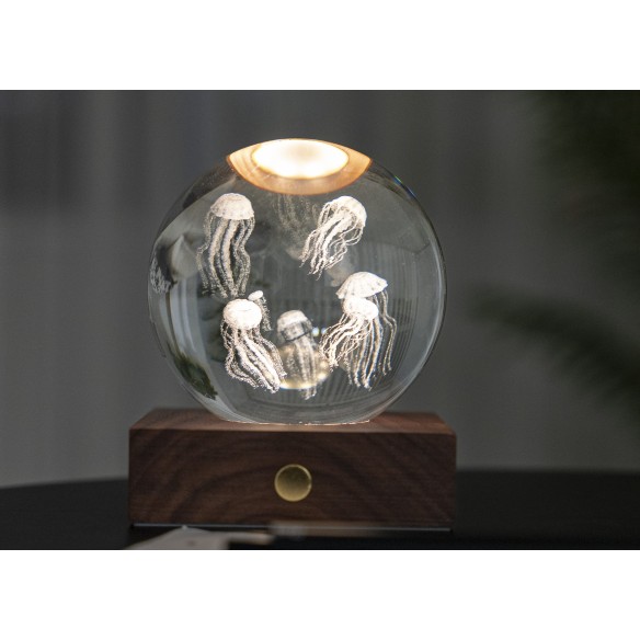 AMBER CRYSTAL LIGHT, 3D laser Jellyfish