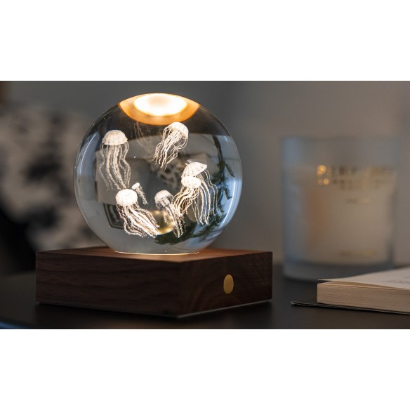 AMBER CRYSTAL LIGHT, 3D laser Jellyfish