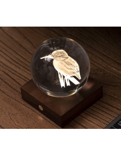 AMBER CRYSTAL LIGHT, 3D laser King Fisher Gingko 2