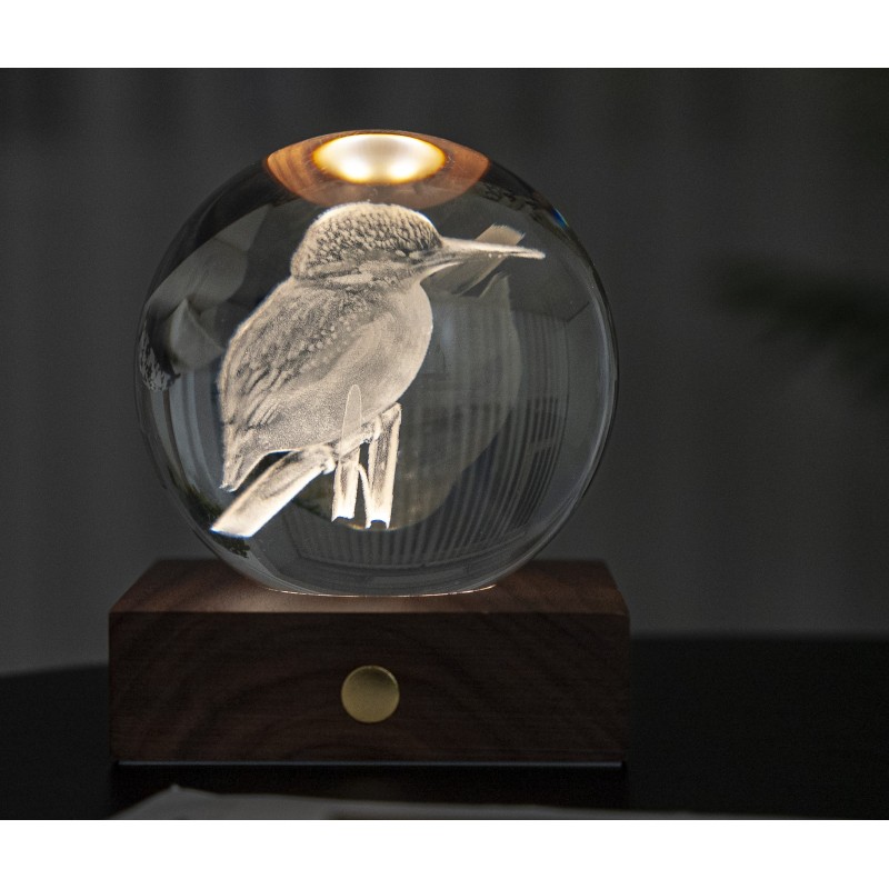 AMBER CRYSTAL LIGHT, 3D laser King Fisher