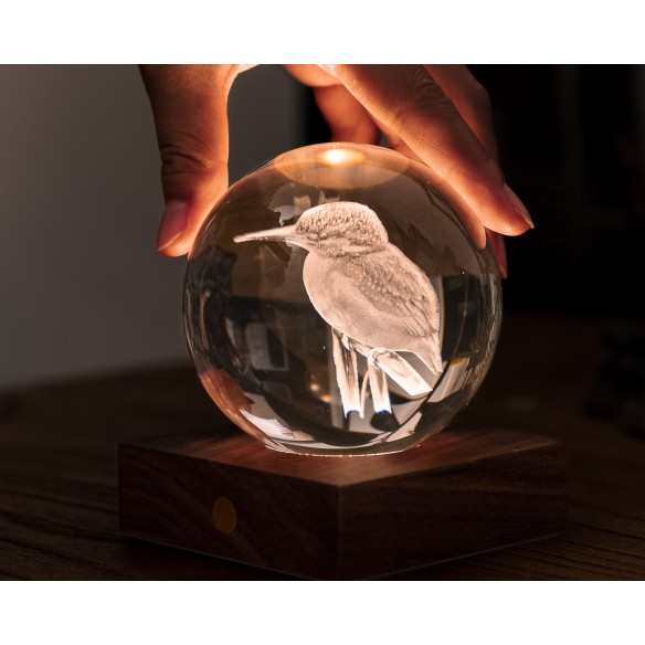 AMBER CRYSTAL LIGHT, 3D laser King Fisher