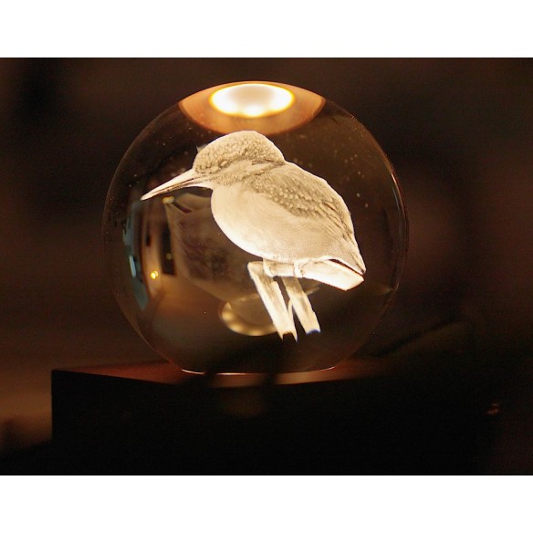 AMBER CRYSTAL LIGHT, 3D laser King Fisher